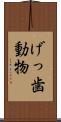 げっ歯動物 Scroll