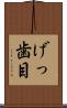 げっ歯目 Scroll