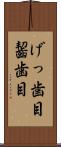 げっ歯目 Scroll