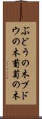 ぶどうの木 Scroll