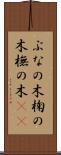 ぶなの木 Scroll