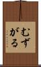 むずがる Scroll