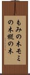 もみの木 Scroll