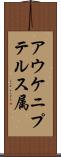 アウケニプテルス属 Scroll
