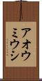 アオウミウシ Scroll