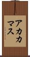 アカカマス Scroll