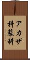 アカザ科 Scroll