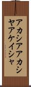 アカシア Scroll