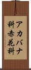 アカバナ科 Scroll