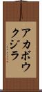 アカボウクジラ Scroll