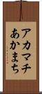 アカマチ Scroll