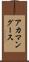 アカマングース Scroll