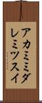 アカミミダレミツスイ Scroll