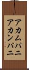 アカムパニ Scroll