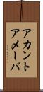 アカントアメーバ Scroll