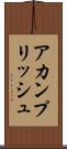 アカンプリッシュ Scroll
