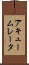 アキュームレータ Scroll