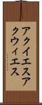 アクイエス Scroll