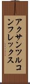 アクサンツルコンフレックス Scroll