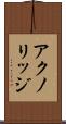 アクノリッジ Scroll