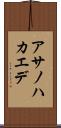 アサノハカエデ Scroll