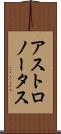 アストロノータス Scroll