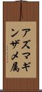 アズマギンザメ属 Scroll