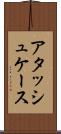 アタッシュケース Scroll