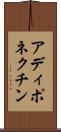 アディポネクチン Scroll