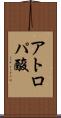 アトロパ酸 Scroll