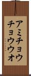 アミチョウチョウウオ Scroll