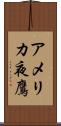 アメリカ夜鷹 Scroll