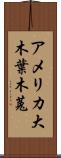 アメリカ大木葉木菟 Scroll