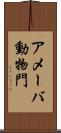 アメーバ動物門 Scroll