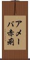 アメーバ赤痢 Scroll
