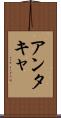 アンタキャ Scroll