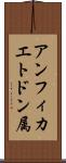 アンフィカエトドン属 Scroll