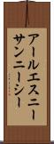 アールエスニーサンニーシー Scroll