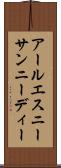 アールエスニーサンニーディー Scroll