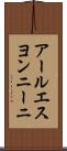 アールエスヨンニーニ Scroll