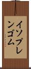 イソプレンゴム Scroll