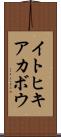 イトヒキアカボウ Scroll
