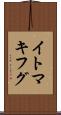 イトマキフグ Scroll