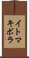 イトマキボラ Scroll