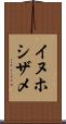 イヌホシザメ Scroll
