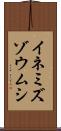 イネミズゾウムシ Scroll