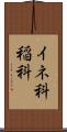 イネ科 Scroll