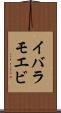 イバラモエビ Scroll