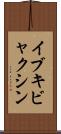 イブキビャクシン Scroll