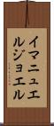 Immanuel Joel Scroll